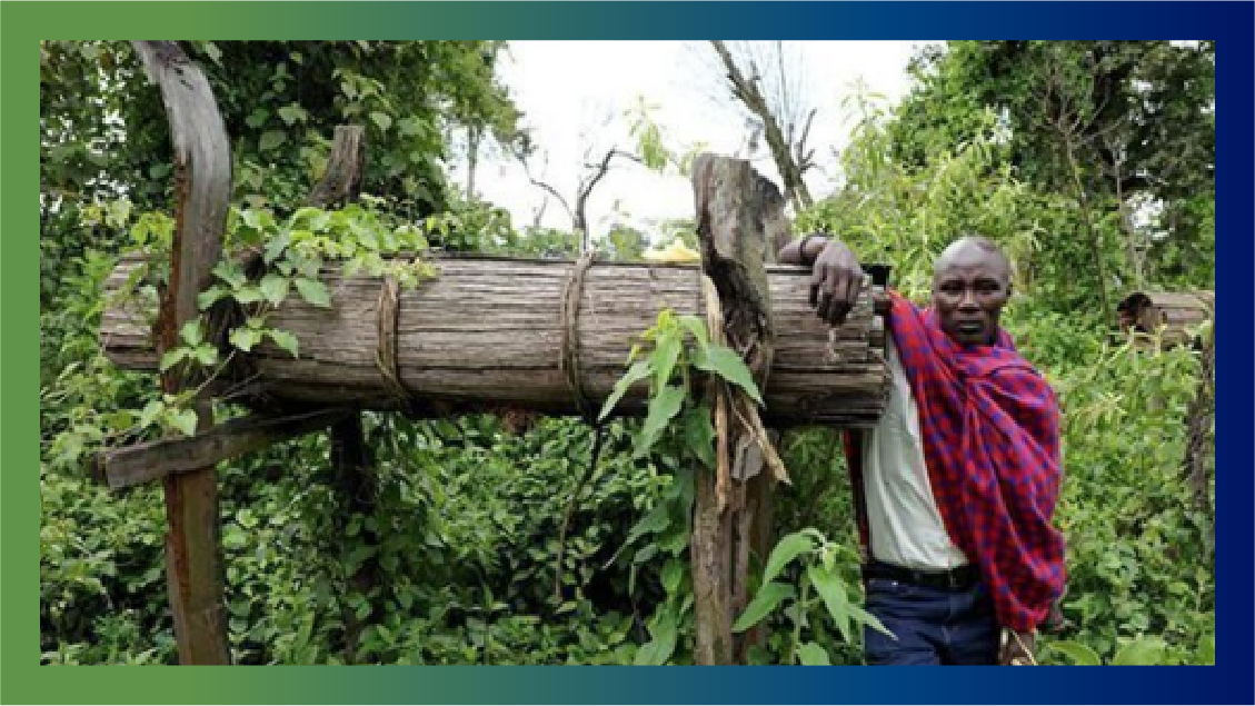 Stand With Ogieks in Kenya