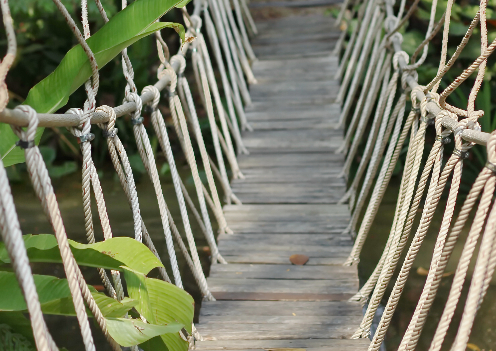 Establish a solidarity network