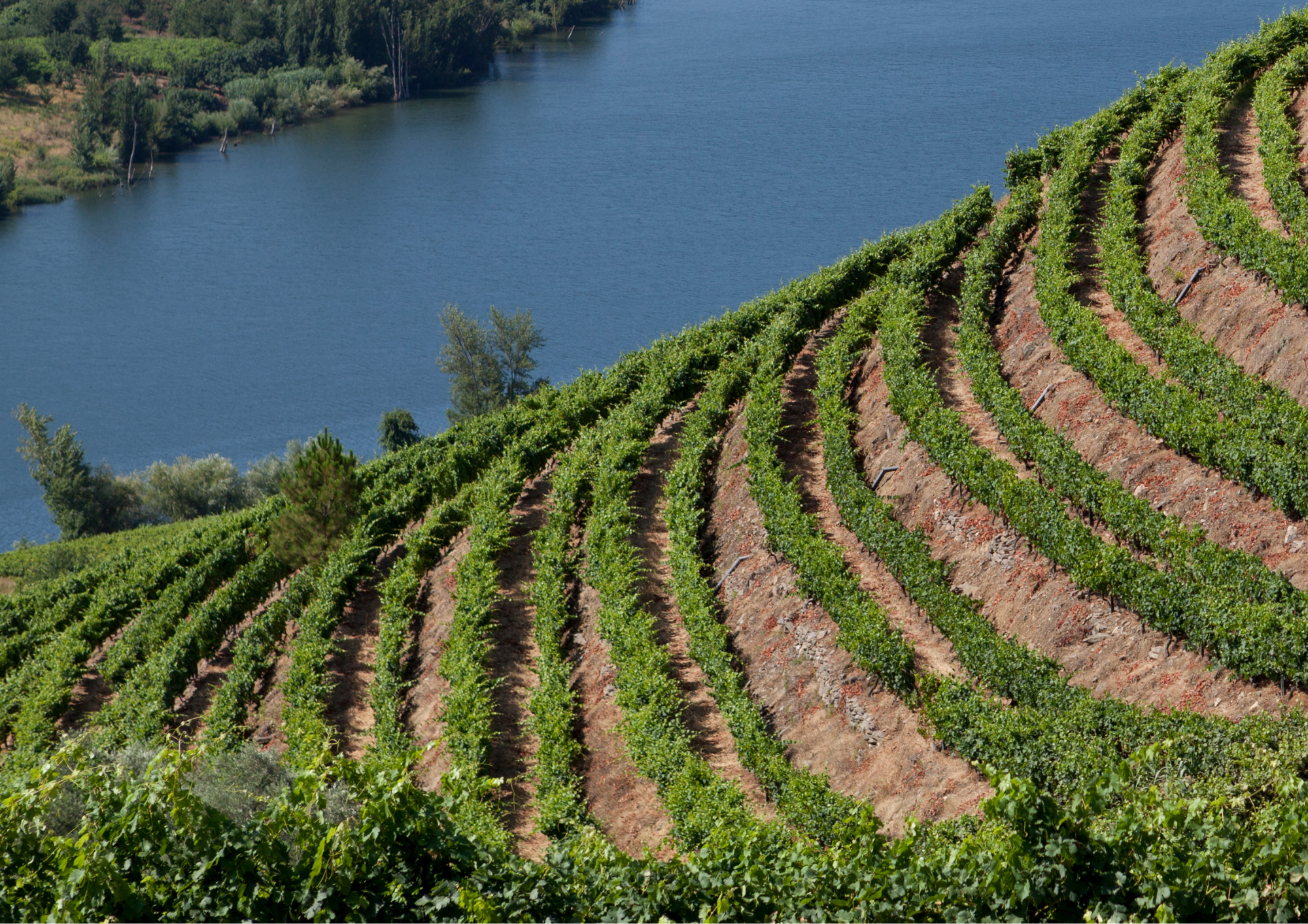 Fill gaps catalyze and channel support