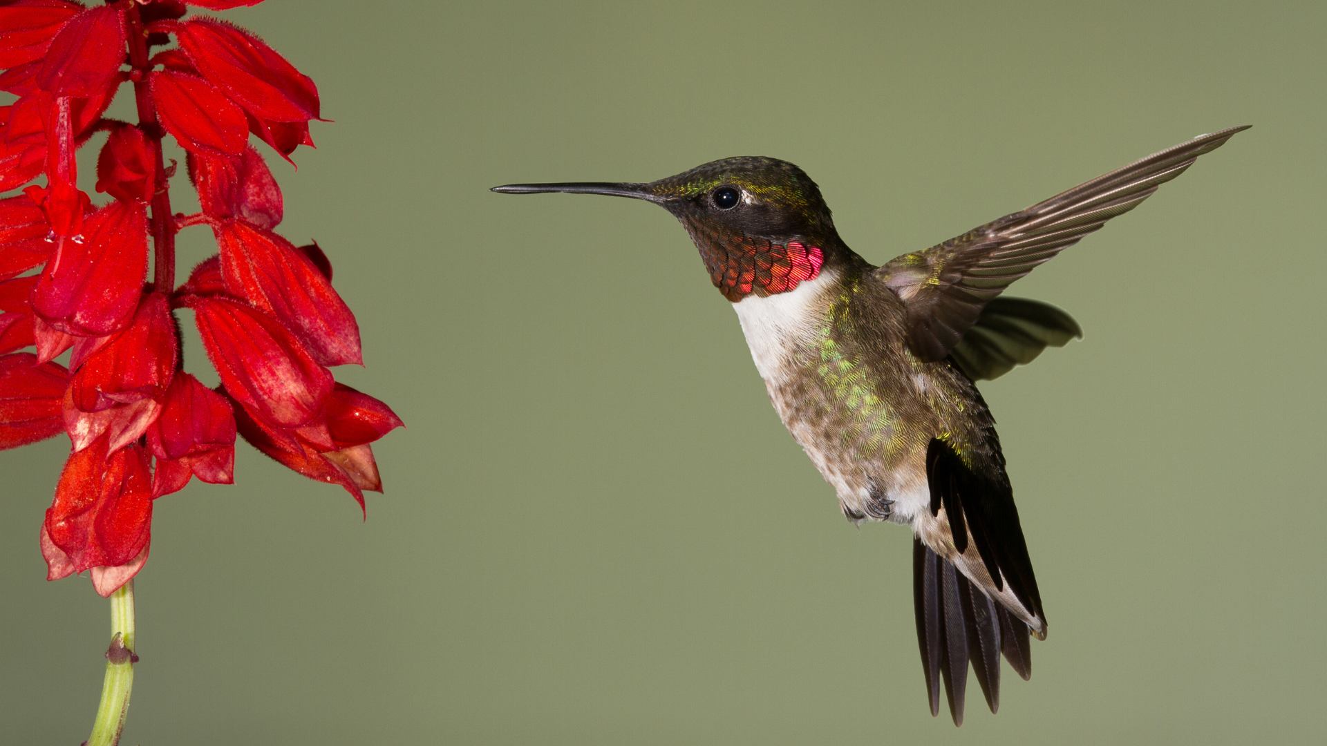 we elevate your voice and your work